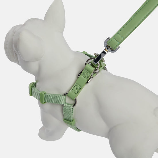 Lush Green Dog Harness and Lead Set