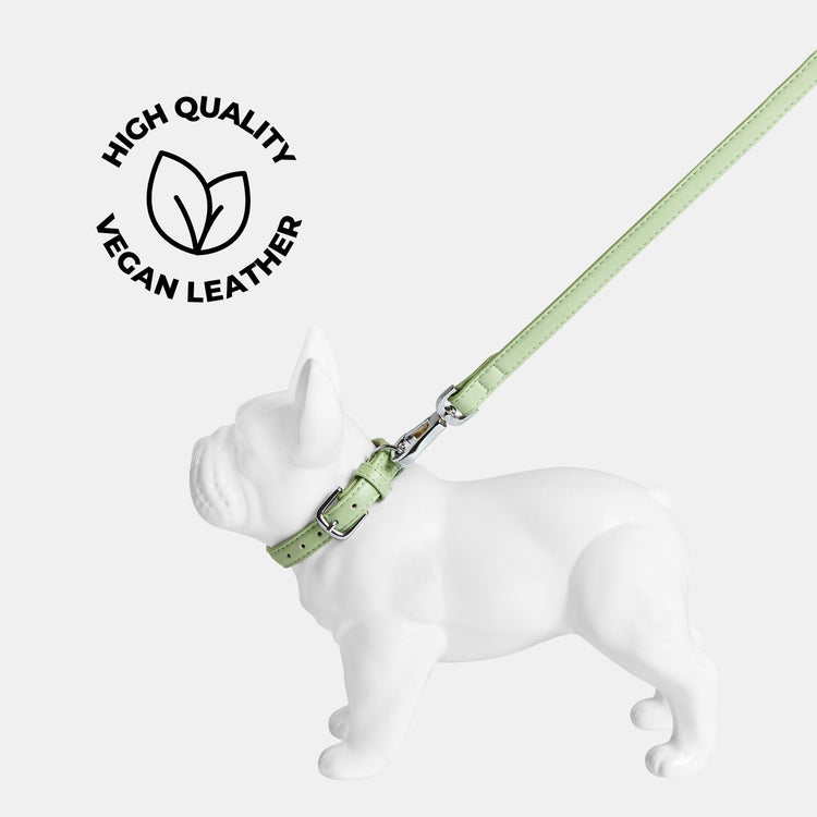 Lush Green Vegan Leather Collar set