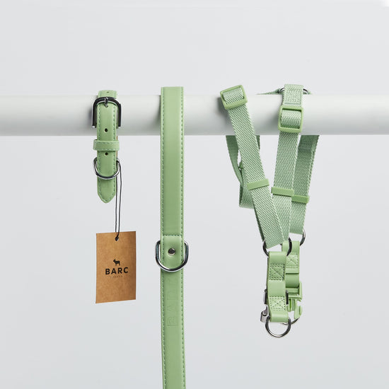 Luxury Green Dog Collar, Lead and Harness - Designed to Match