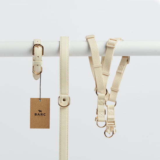 Luxury Ivory Dog Collar, Lead and Harness - Designed to Match