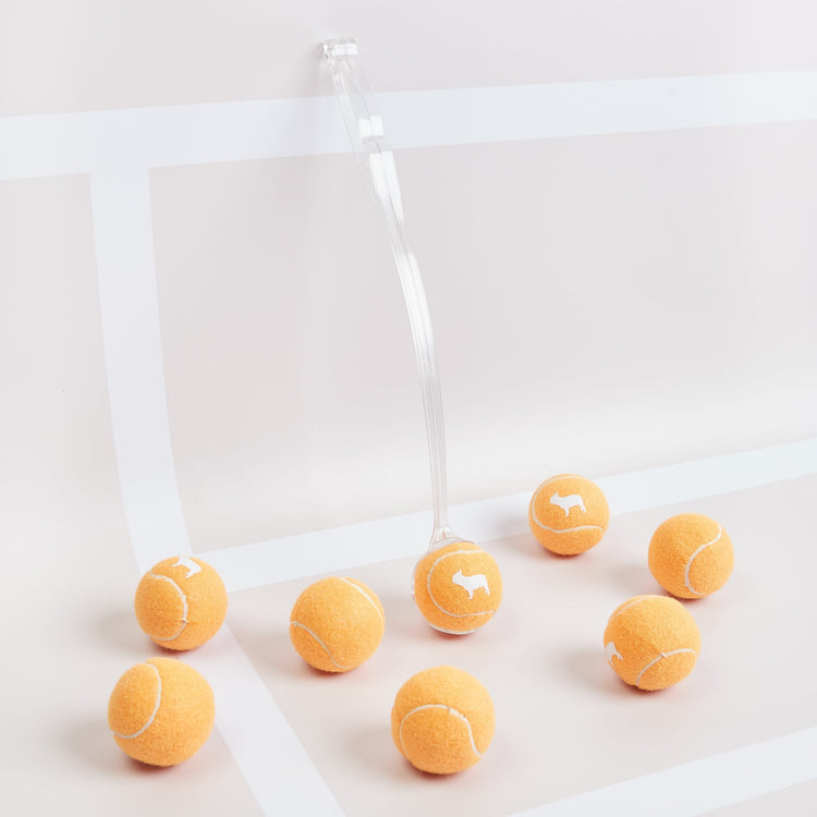 Transparent Ball Thrower with Orange Dog Tennis Balls