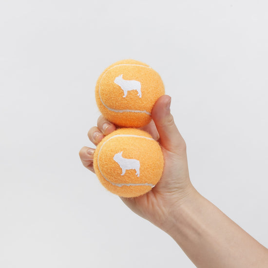 Your dogs favourite, a Barc London Tennis Ball in Orange.