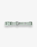 Pistachio Green Essential Dog Collar