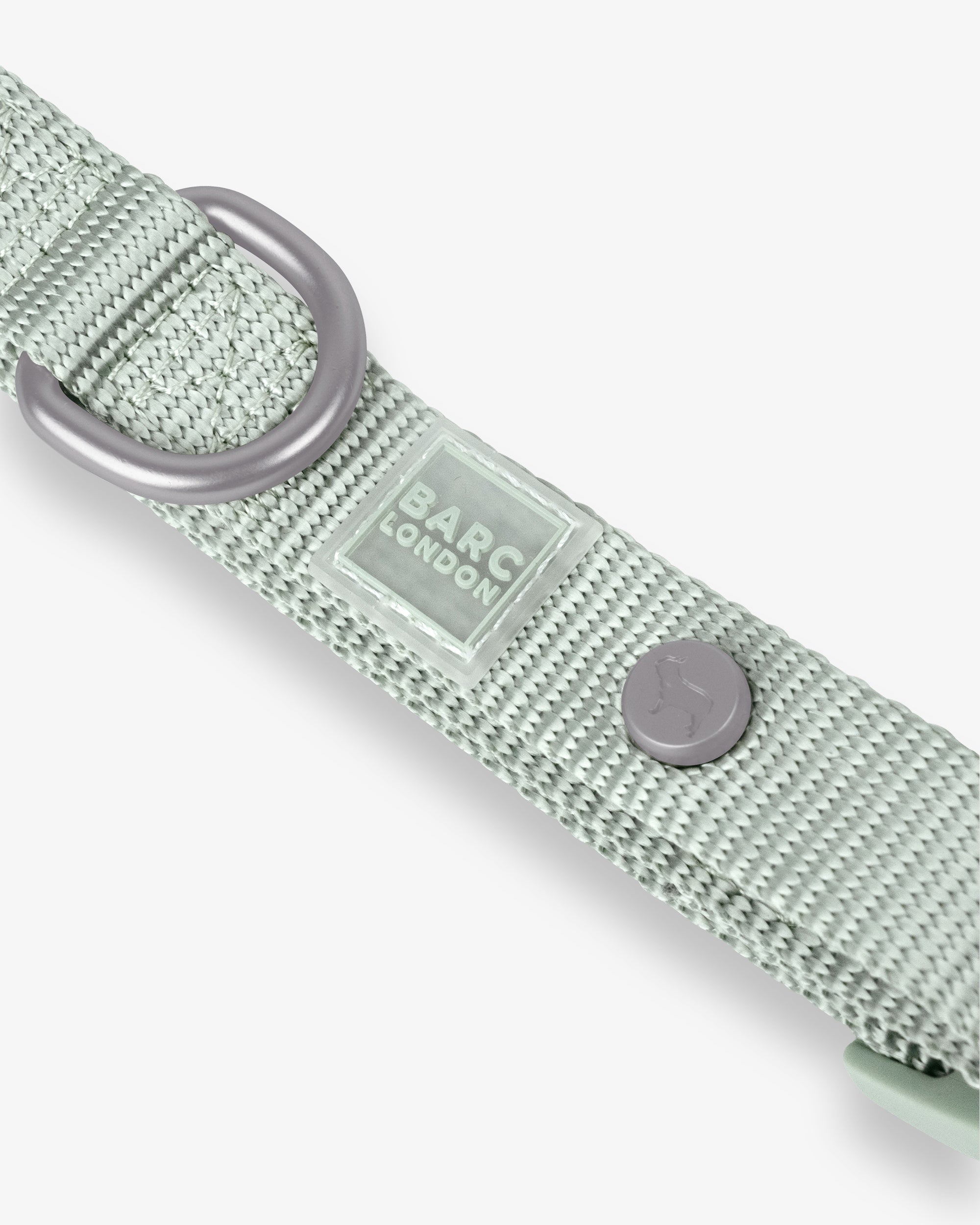 Pistachio Green Essential Dog Collar