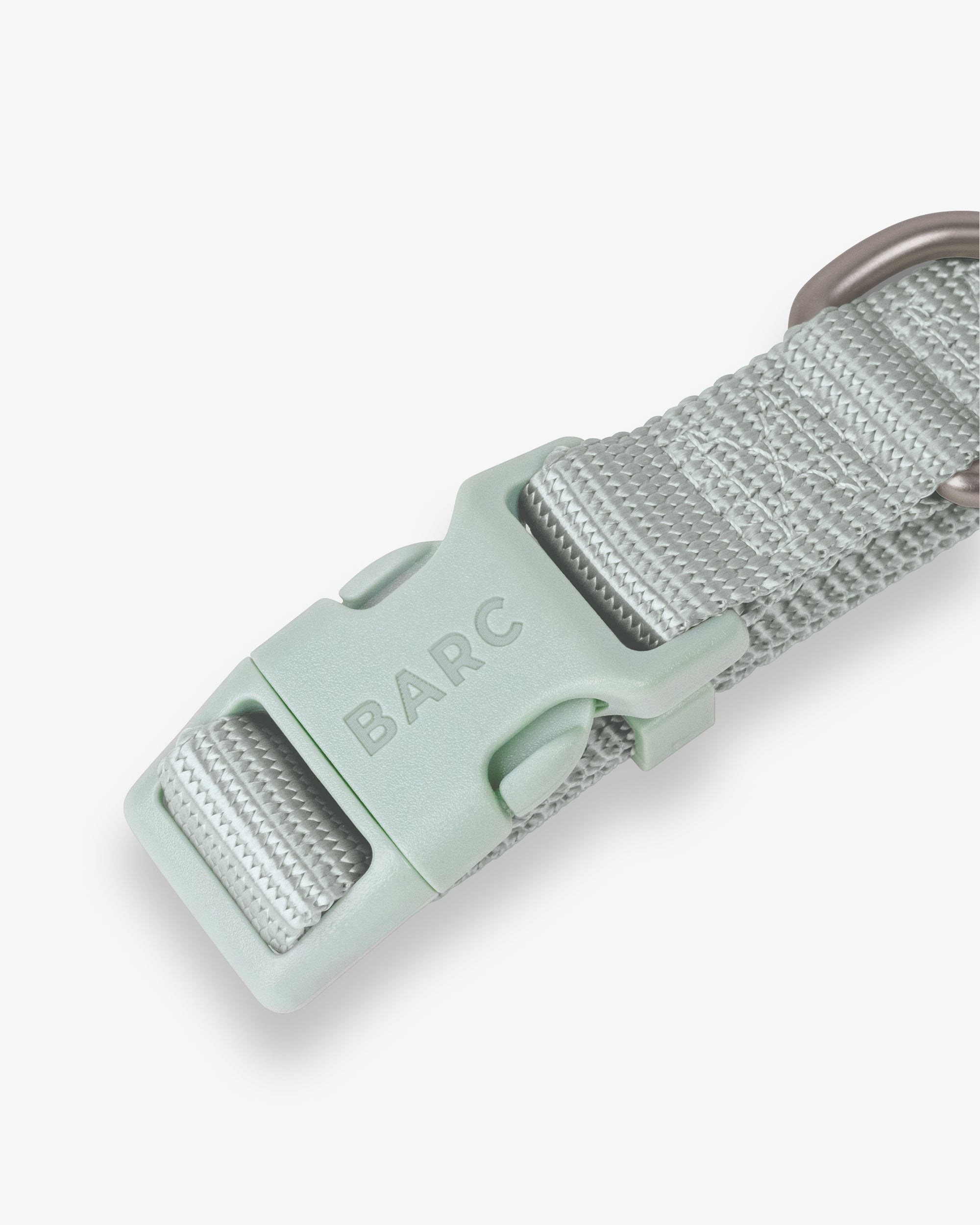 Pistachio Green Essential Dog Collar