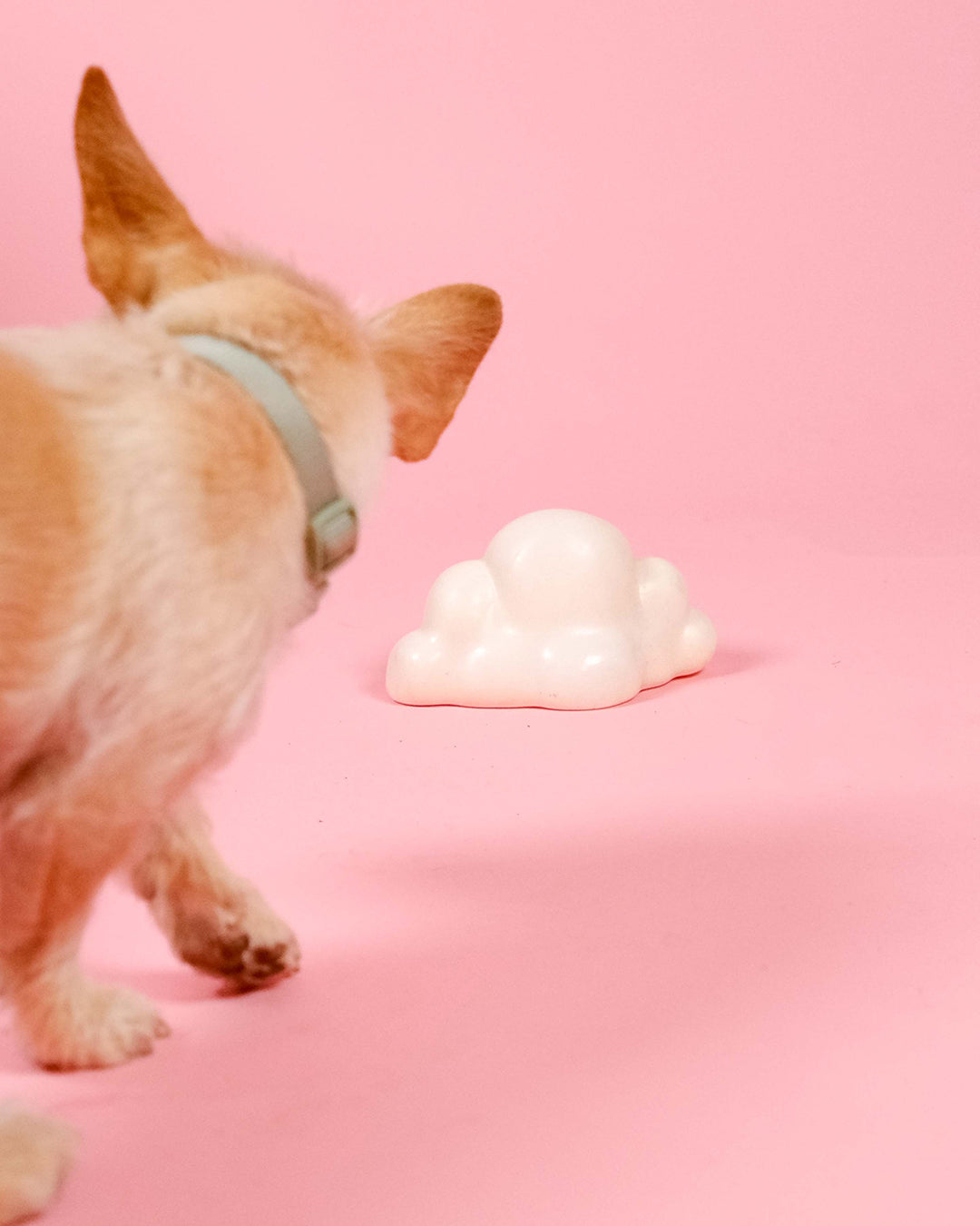 Cloud Squeaky Dog Toy