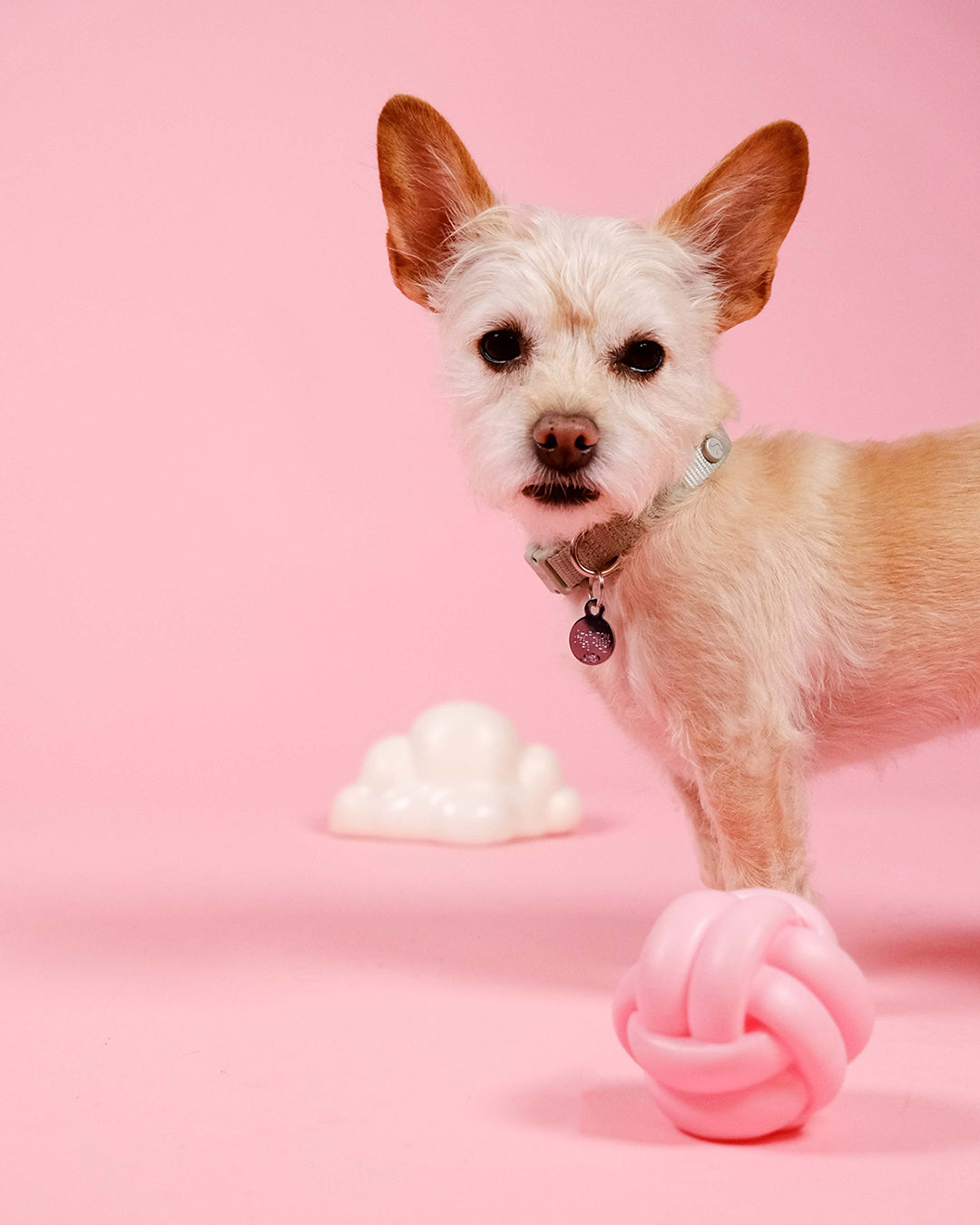 Cloud Squeaky Dog Toy