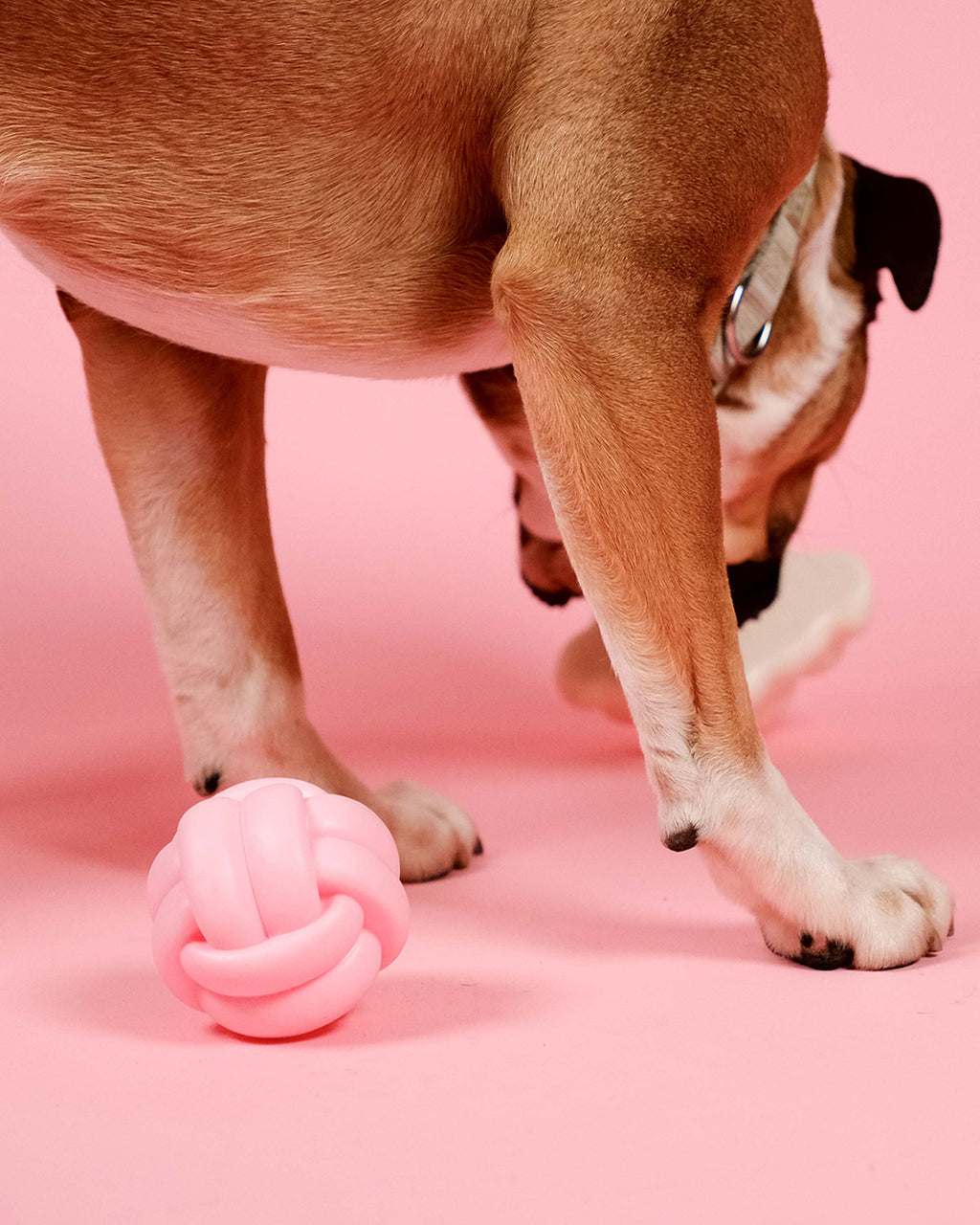 Knotball Squeaky Dog Toy