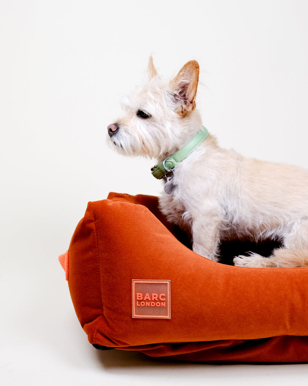 Rust Orange Premium Everyday Bed