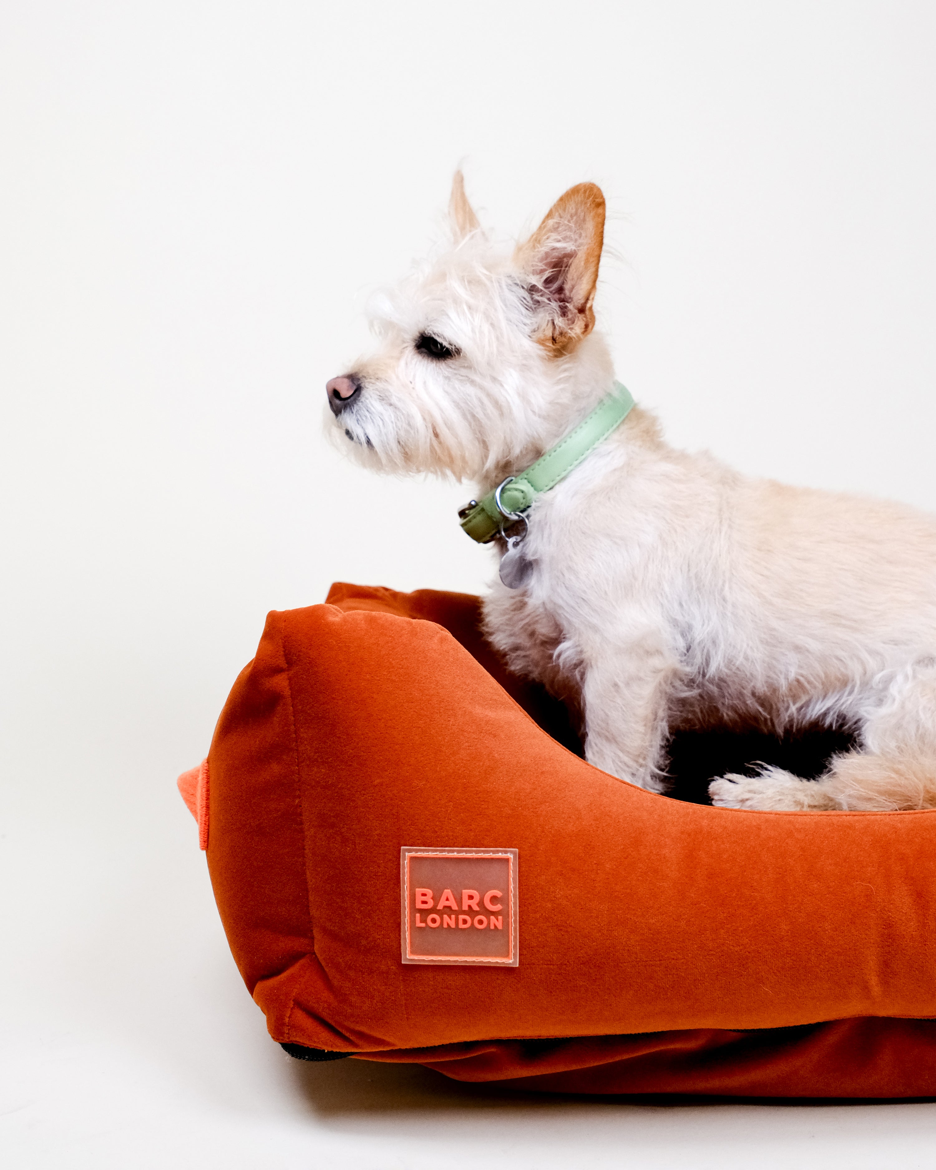 Rust Orange Premium Everyday Bed