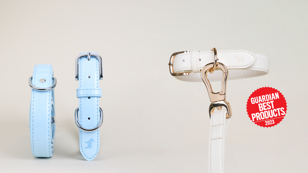 Barc online dog collar