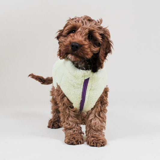Lime Sherpa Fleece Dog Vest