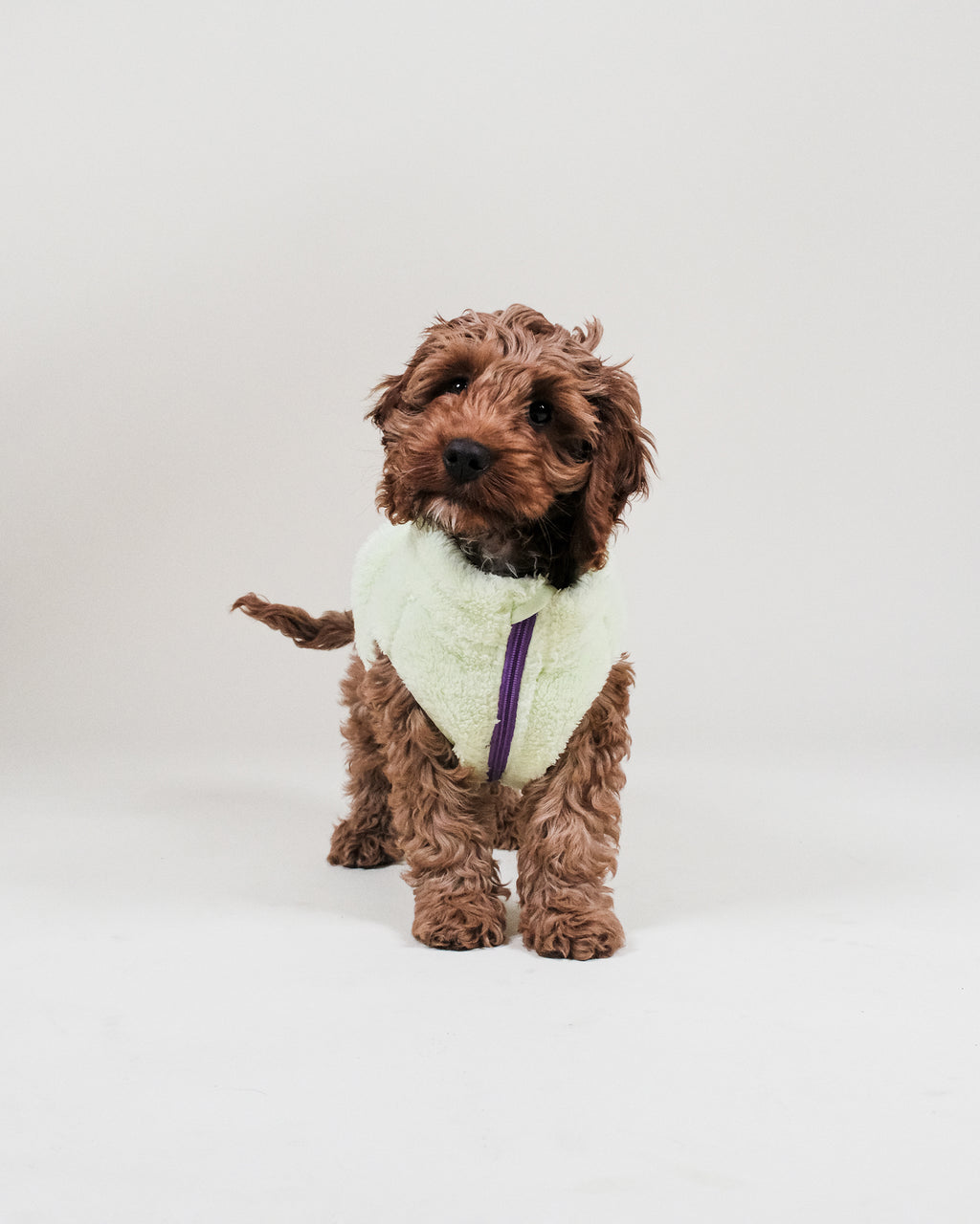 Lime Sherpa Fleece Dog Vest