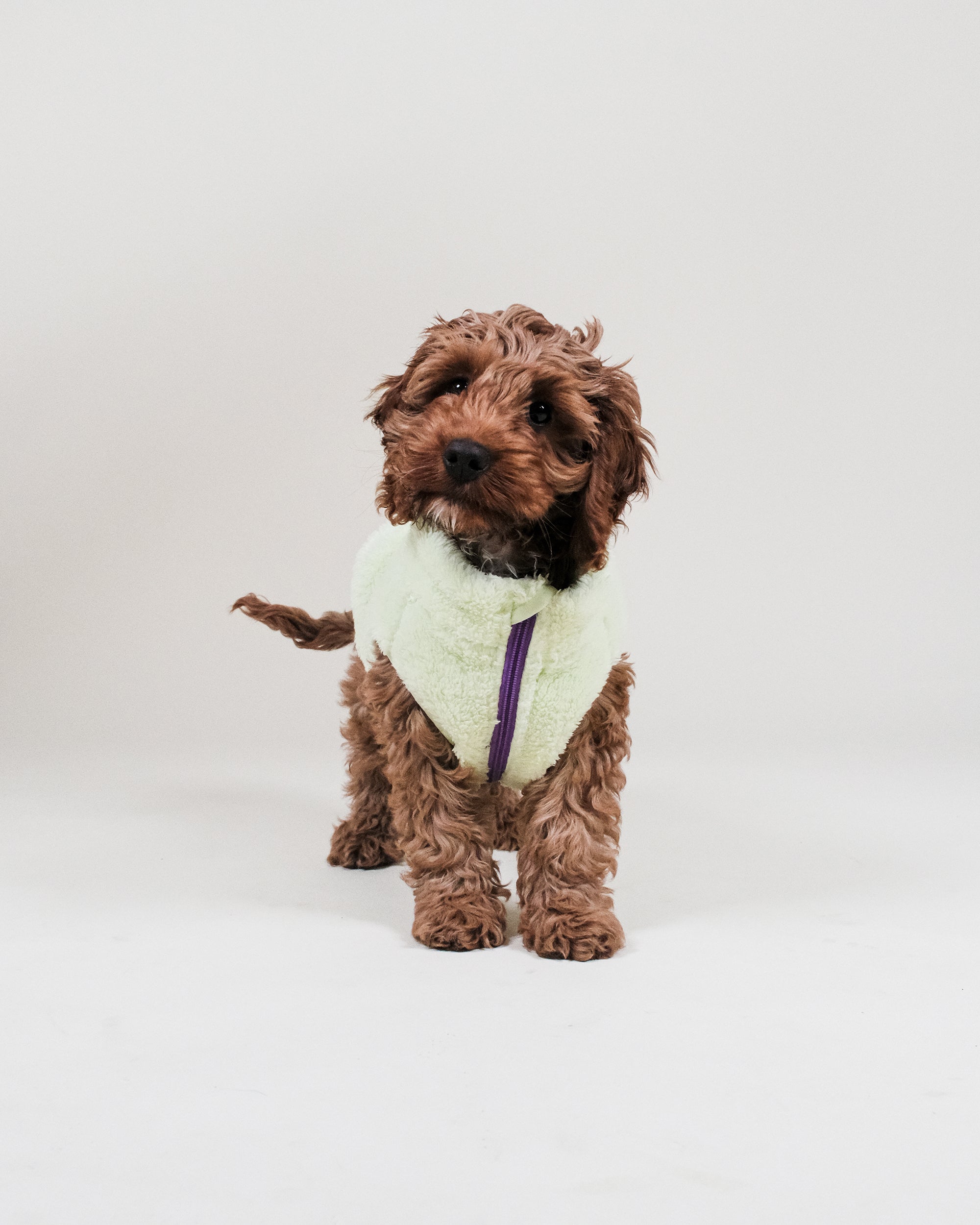Lime Sherpa Fleece Dog Vest