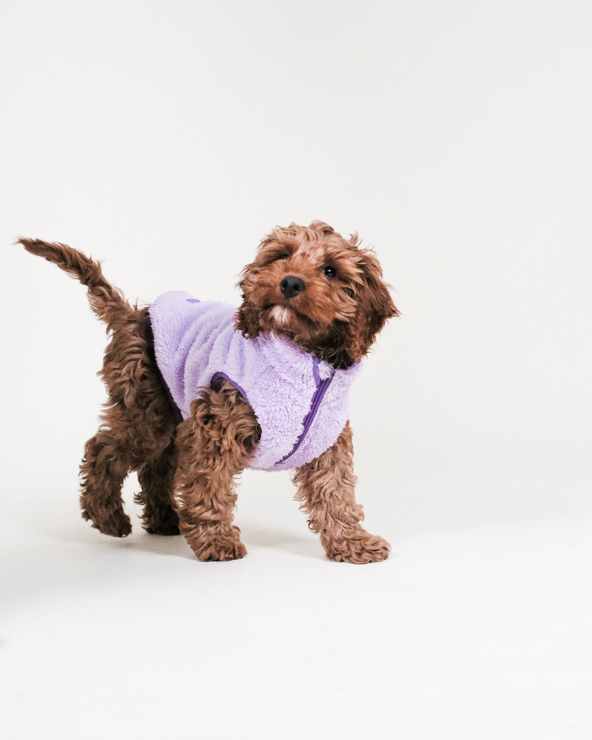Lilac Sherpa Fleece Dog Vest