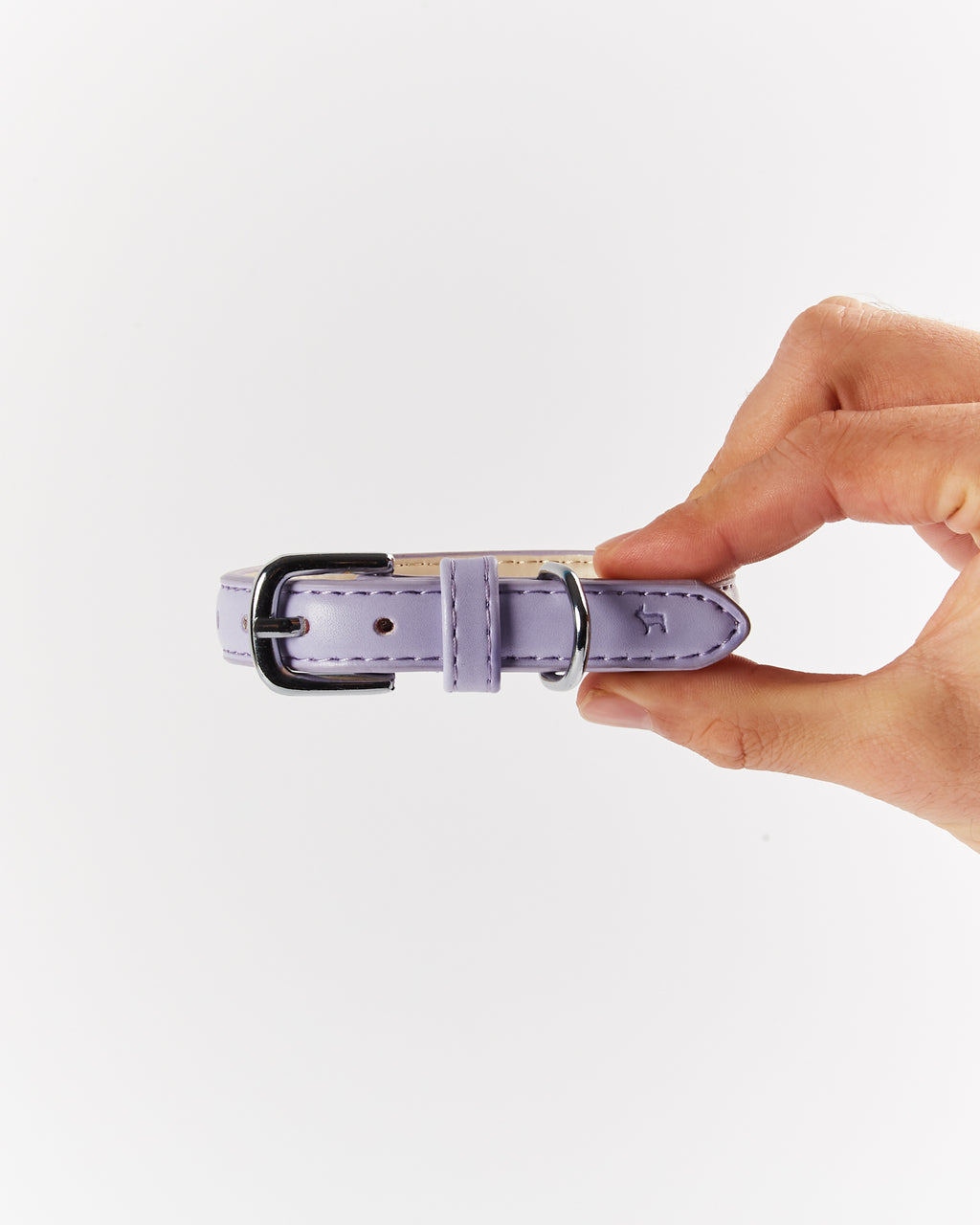 Lilac Dog Collar | XS Only