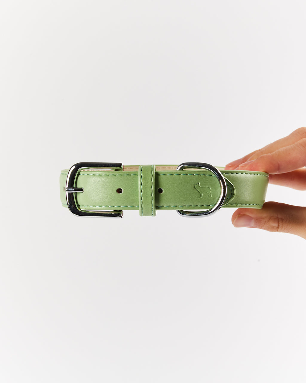 Green Dog Collar - XS & XL Only