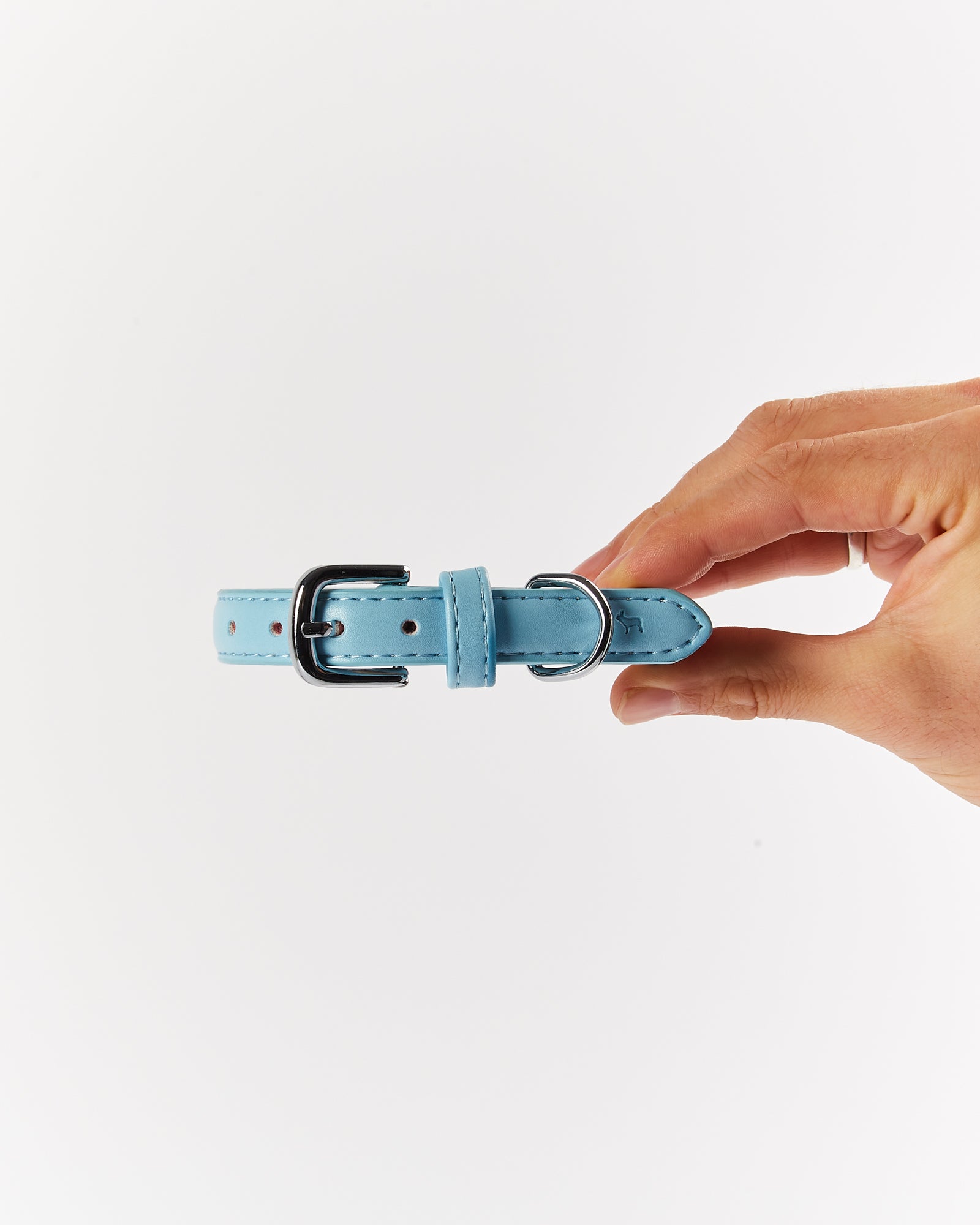 Blue Dog Collar - XS