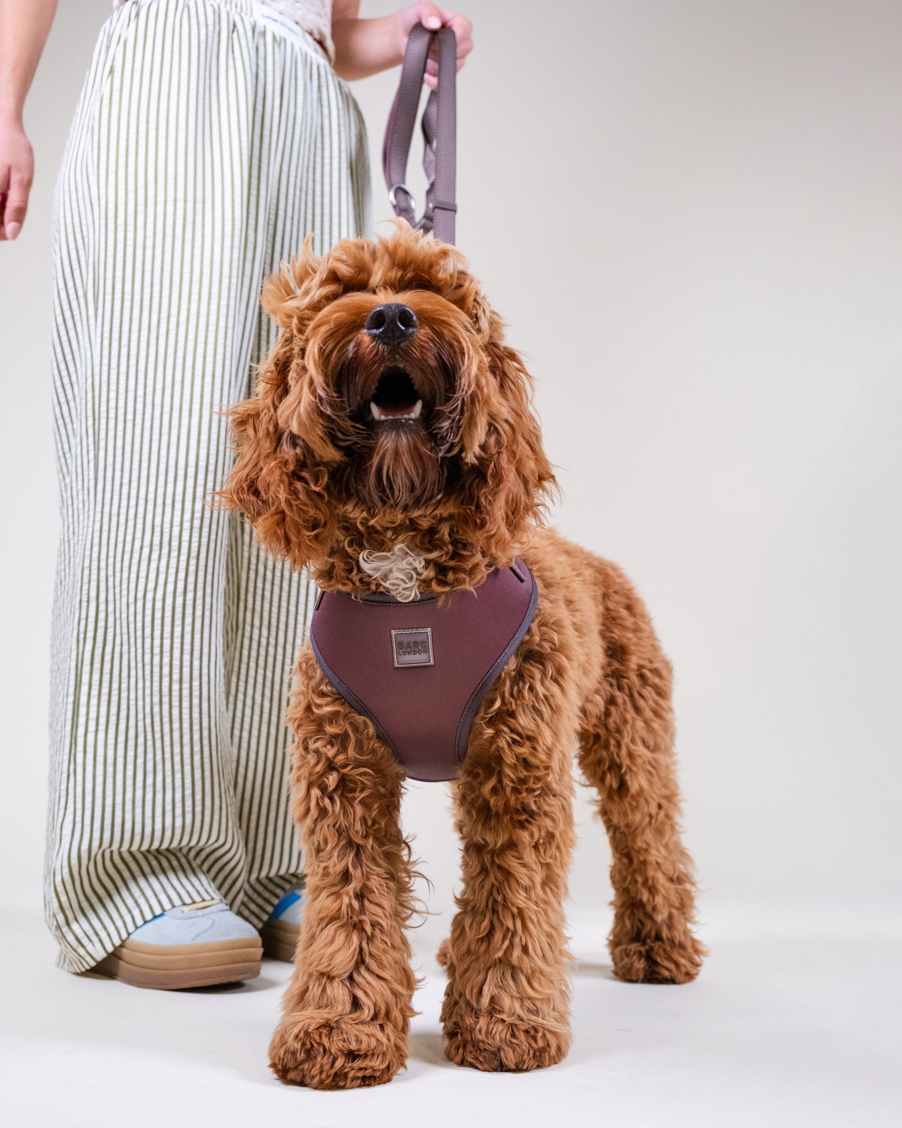 Russet Brown Easy Fit Dog Harness