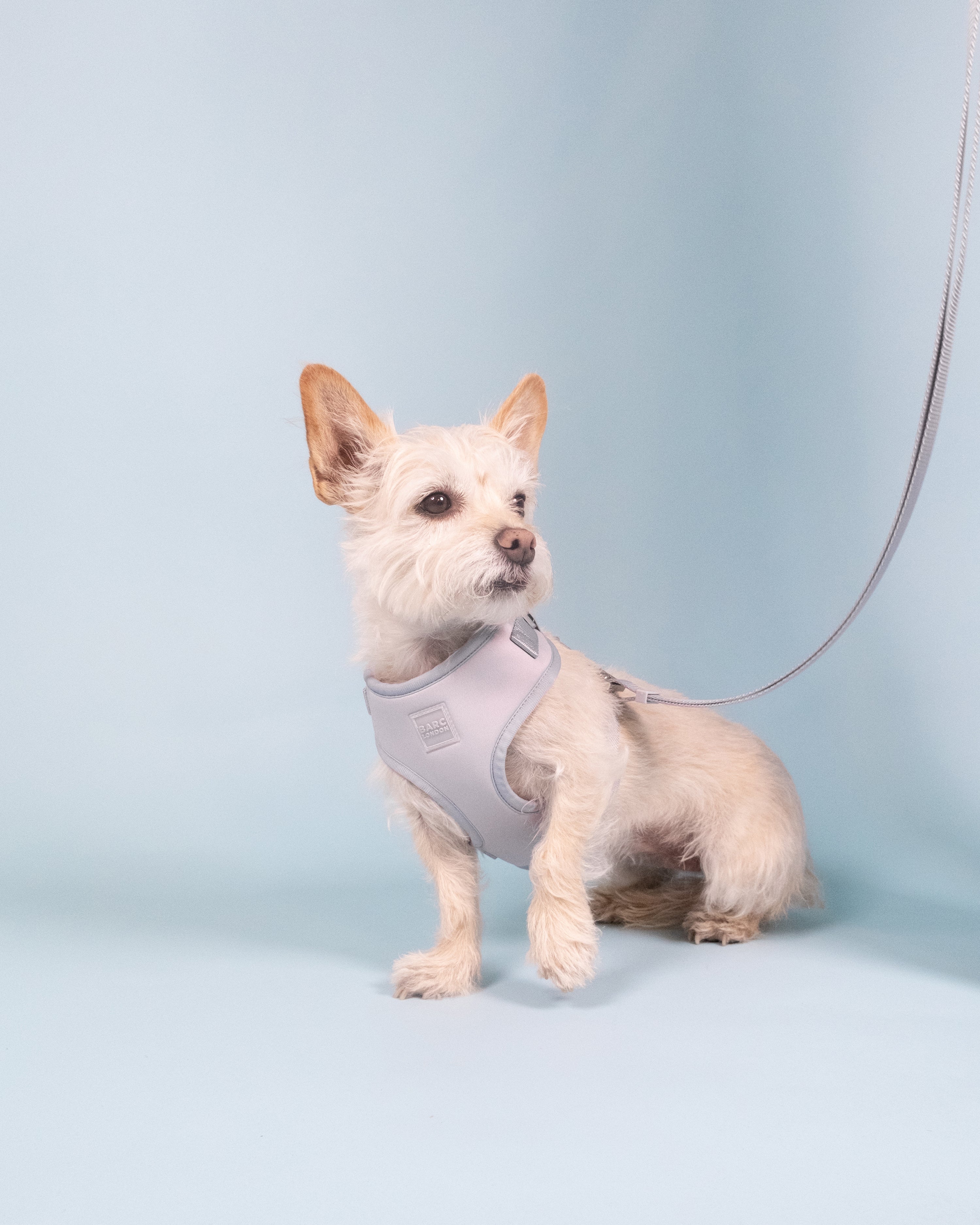 Frosted Blue Easy Fit Harness