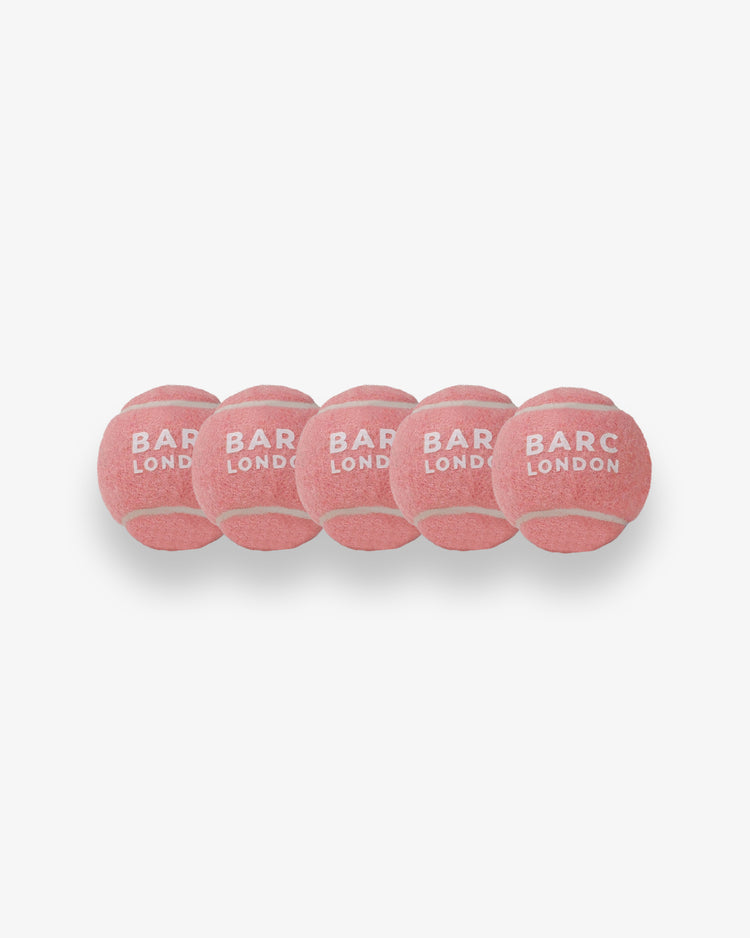 Pink Mini Dog Ball