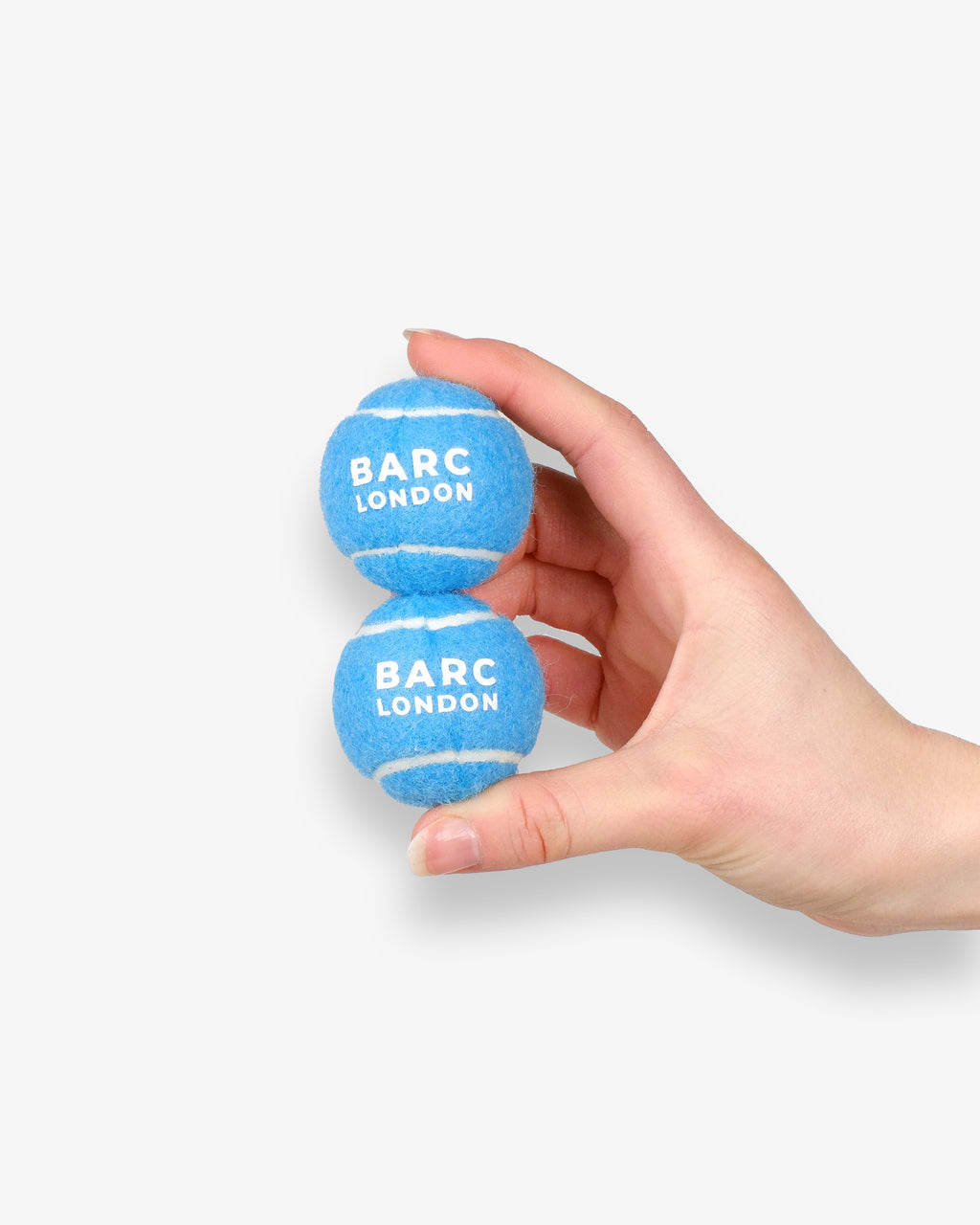 Blue Mini Dog Ball
