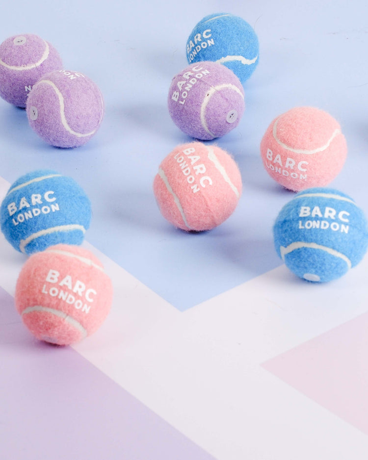 Pink Mini Dog Ball