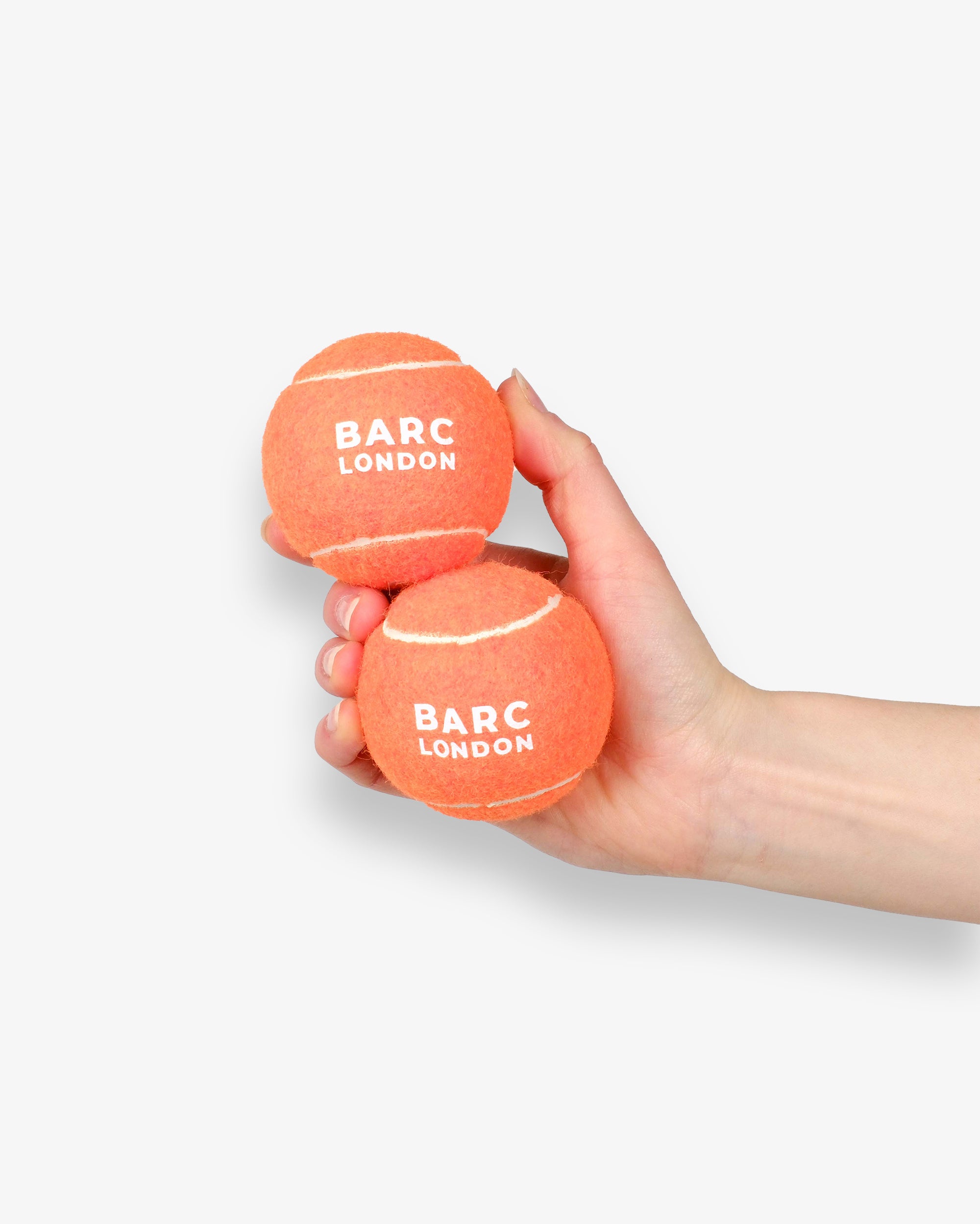 Bright Orange Dog Ball