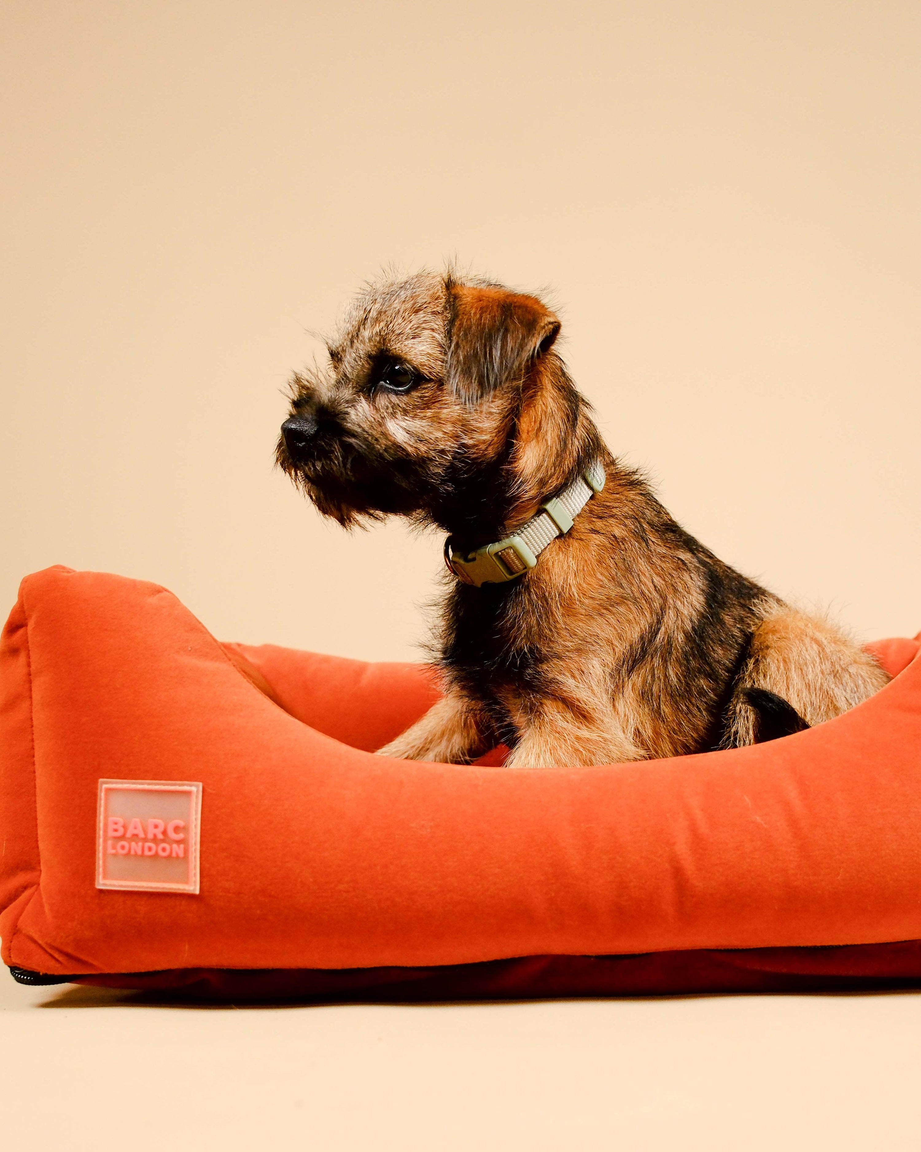 Forest Green Premium Everyday Bed