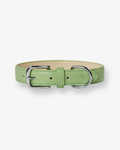 Green Dog Collar - XS & XL Only