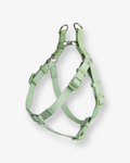 Green Dog Harness