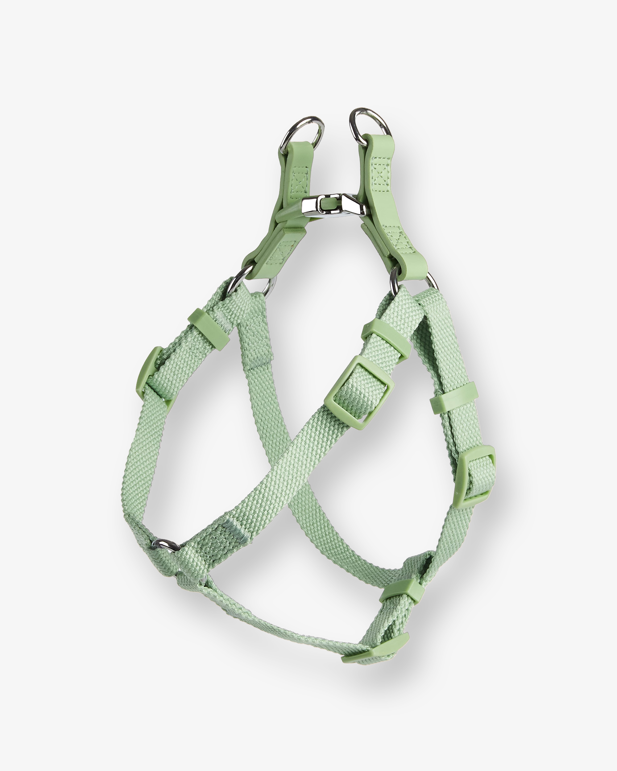 Green Dog Harness