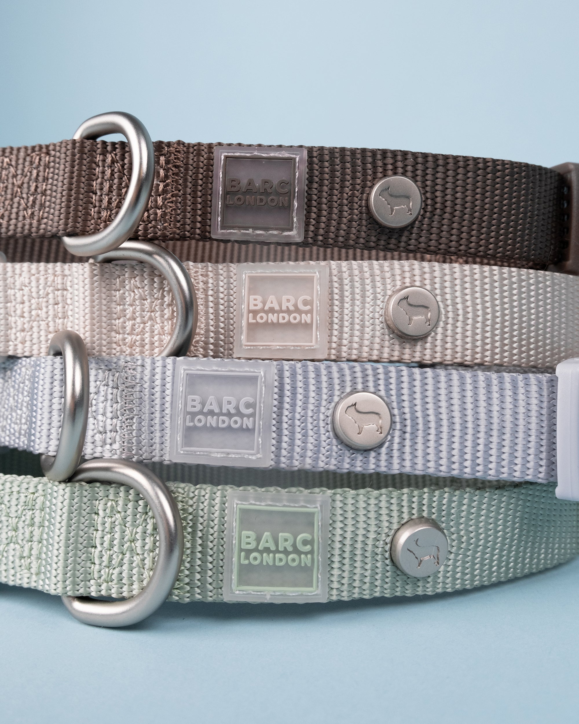 Pistachio Green Essential Dog Collar
