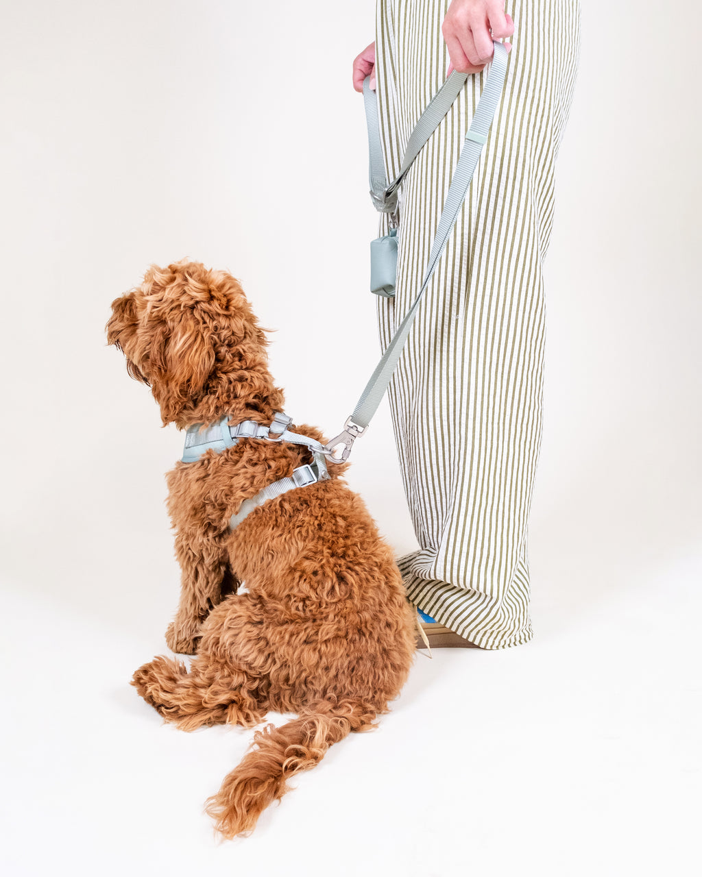Pistachio Green Easy Fit Dog Harness