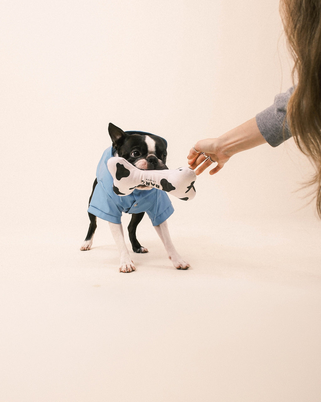 Cow Squeaky Dog Bone Toy