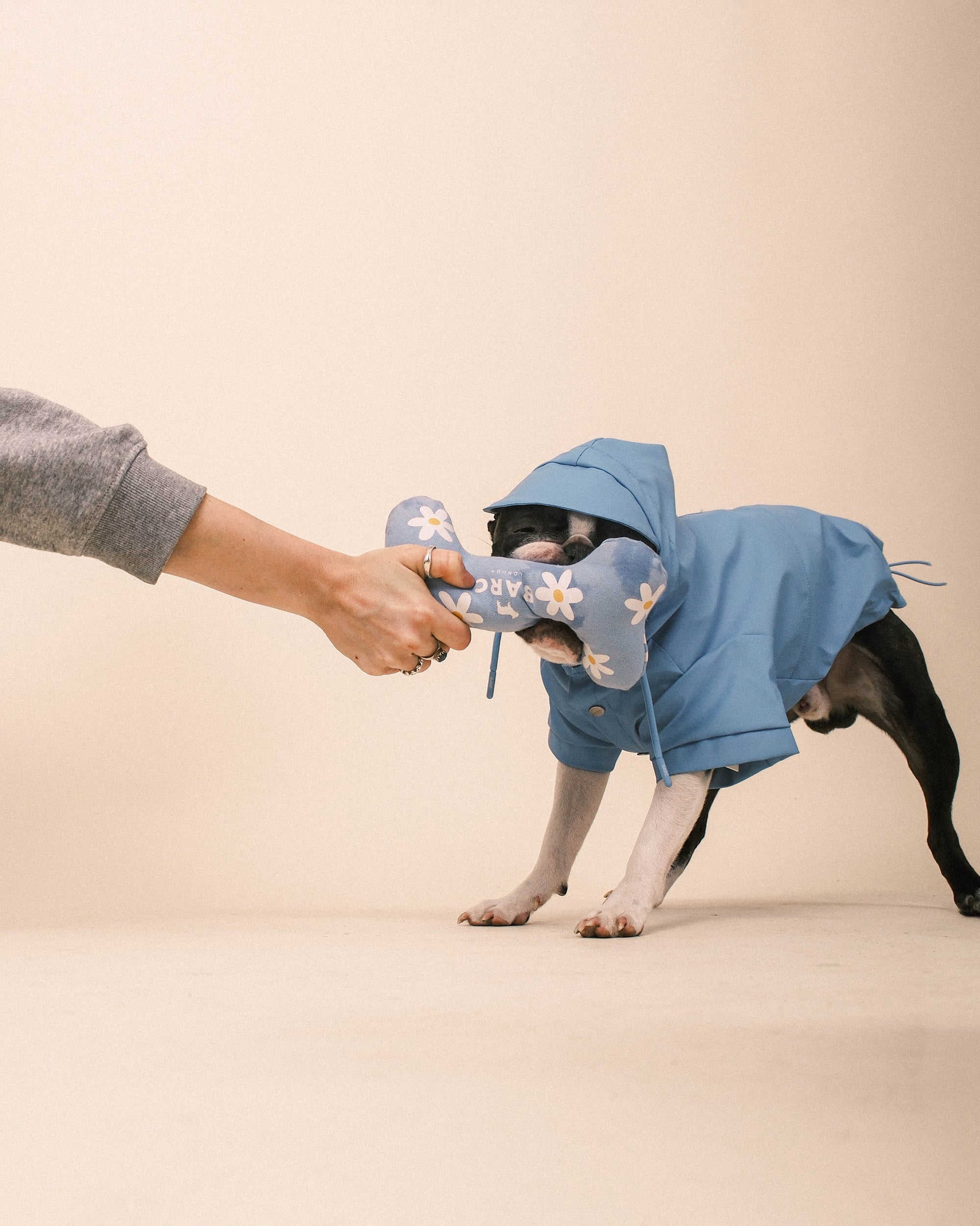 Daisy Squeaky Dog Bone Toy