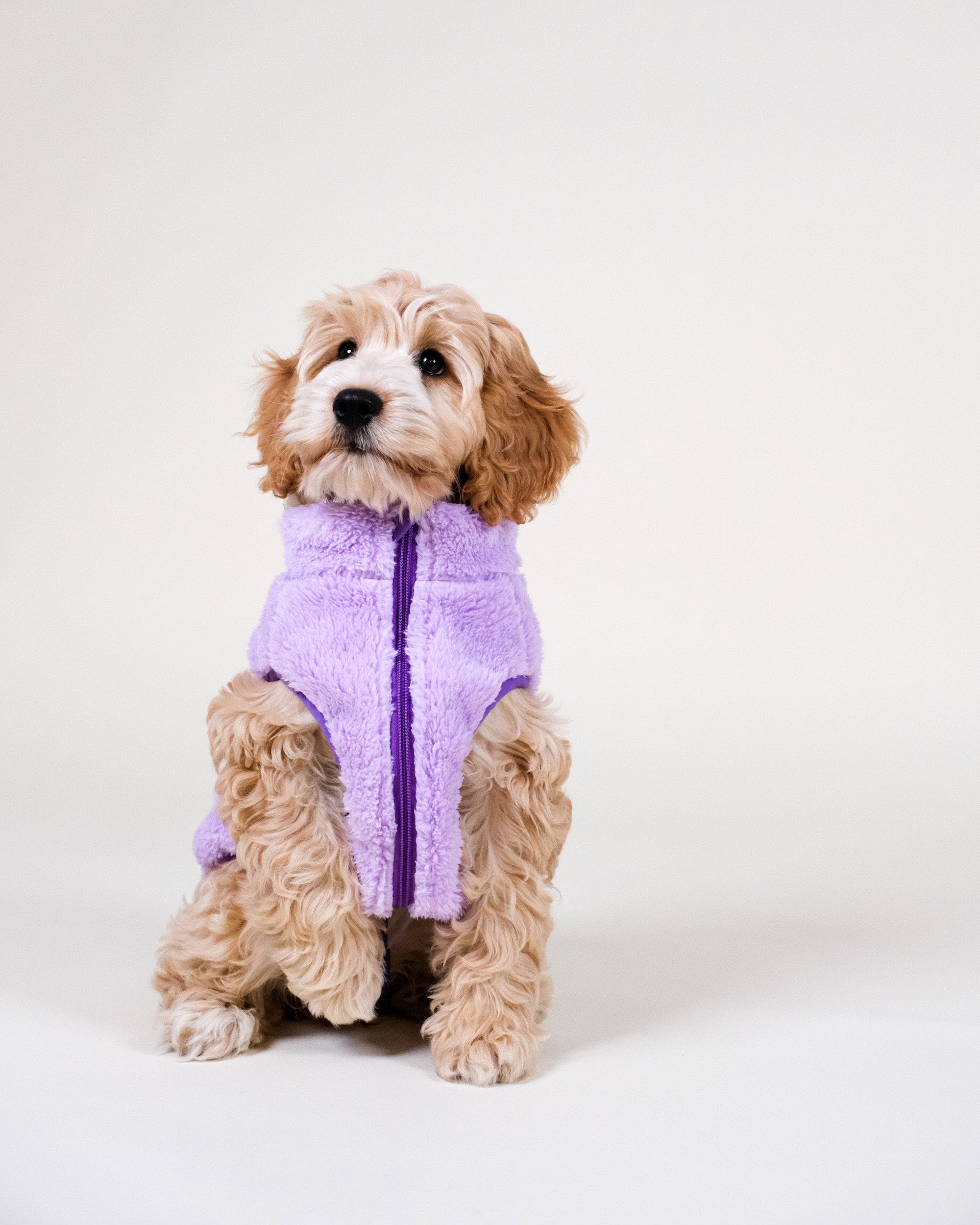 Lilac Sherpa Fleece Dog Vest