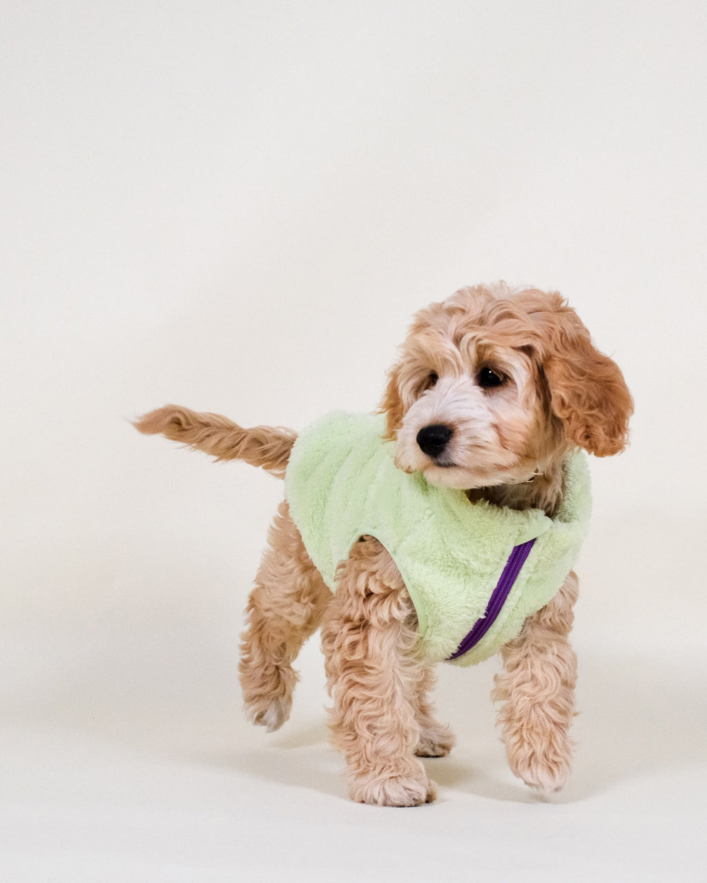 Lime Sherpa Fleece Dog Vest