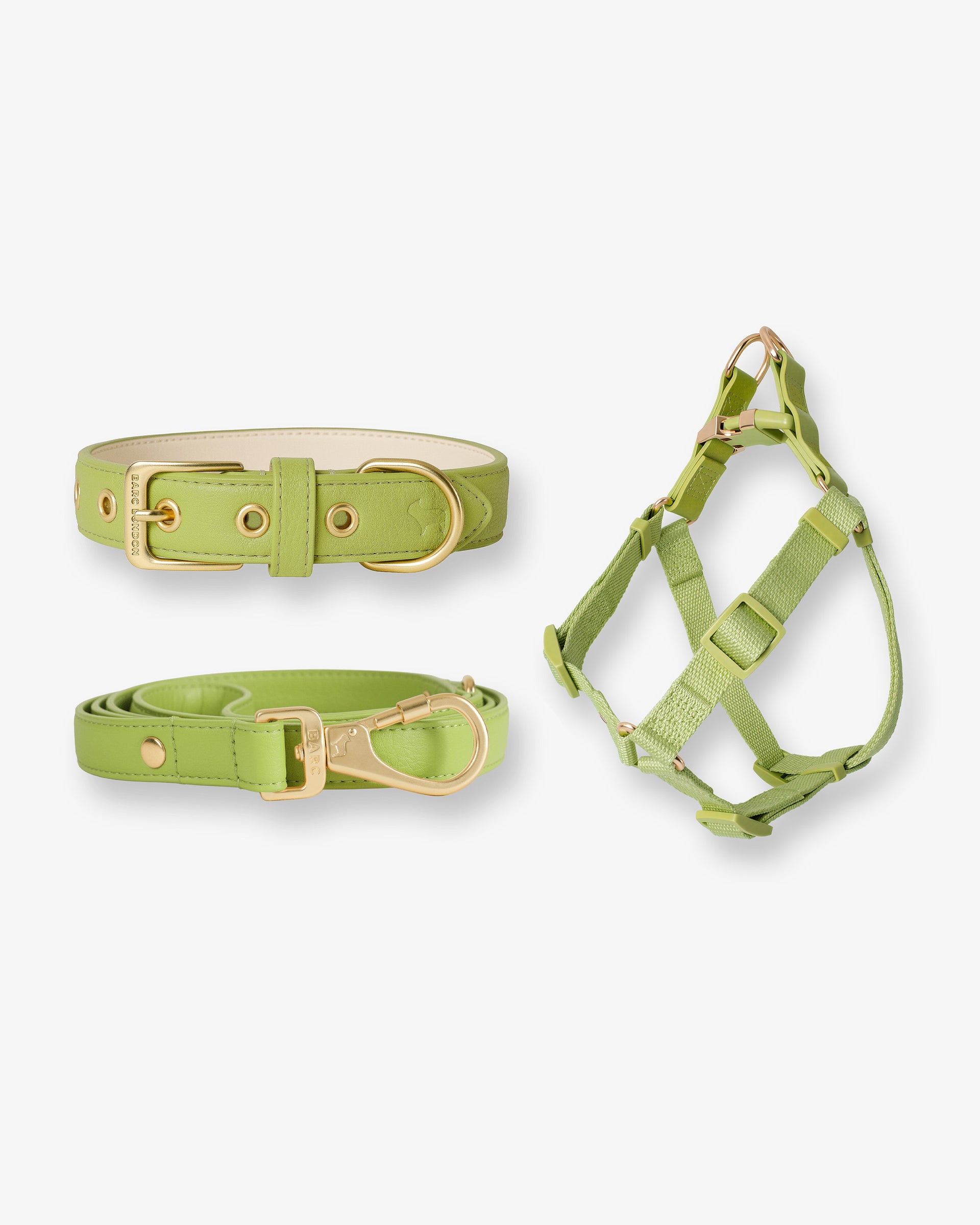 Wasabi Dog Collar Harness & Lead Set