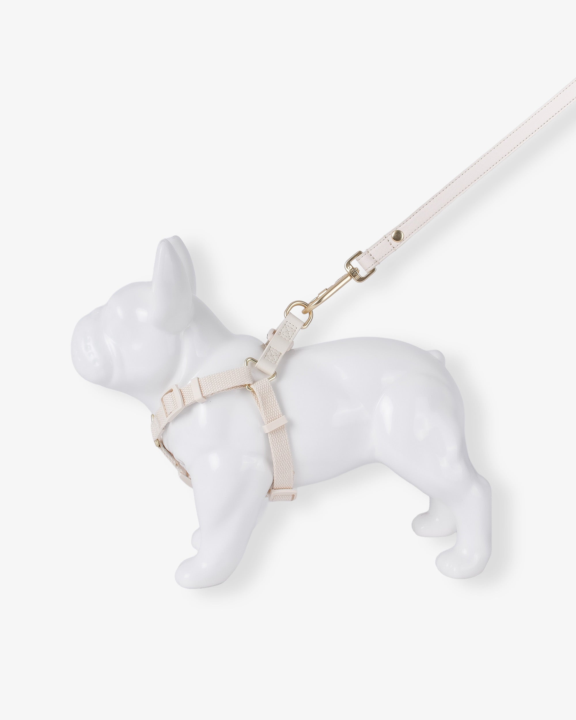 Light Ivory Dog Harness