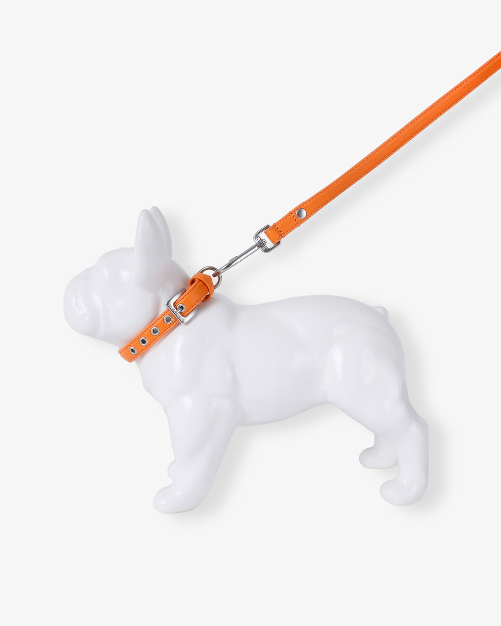 Mandarin Orange Dog Collar & Lead Set
