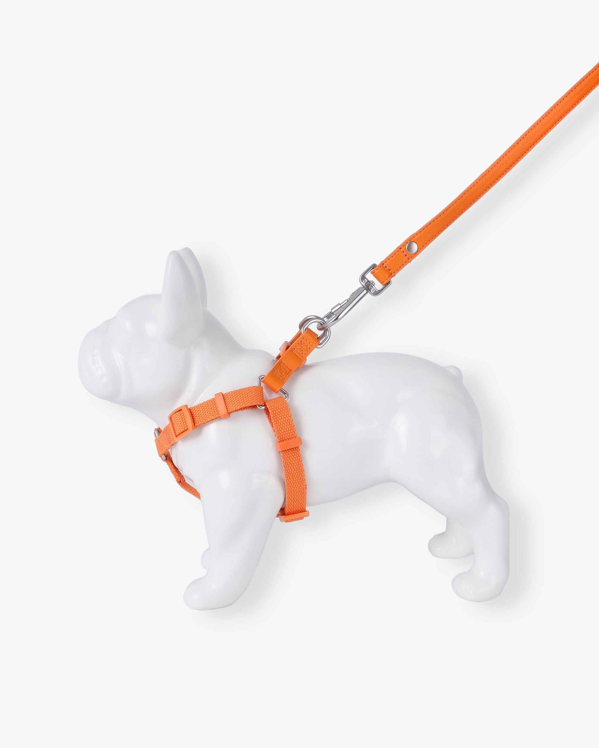 Mandarin Orange Dog Harness