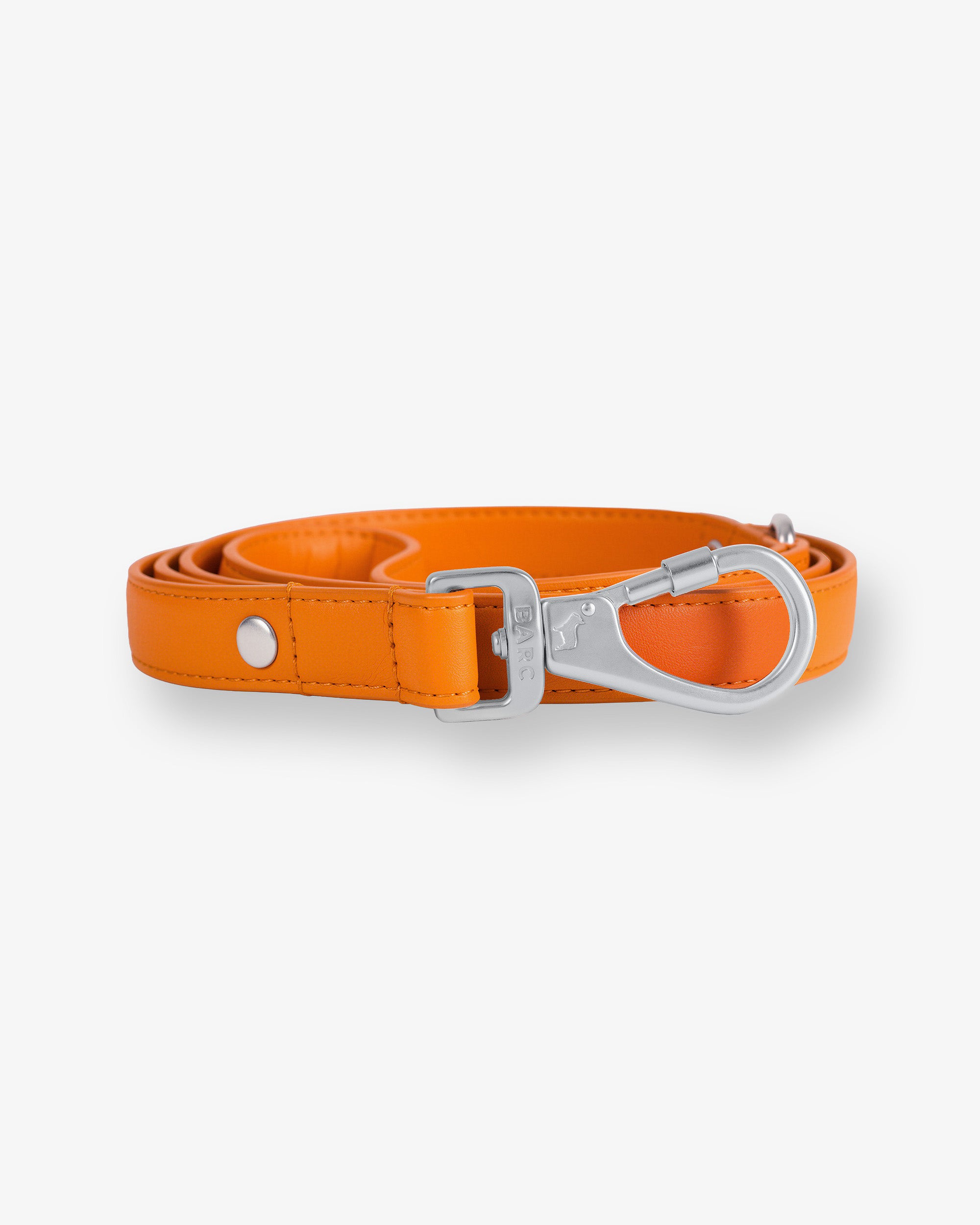 Mandarin Orange Dog Collar & Lead Set
