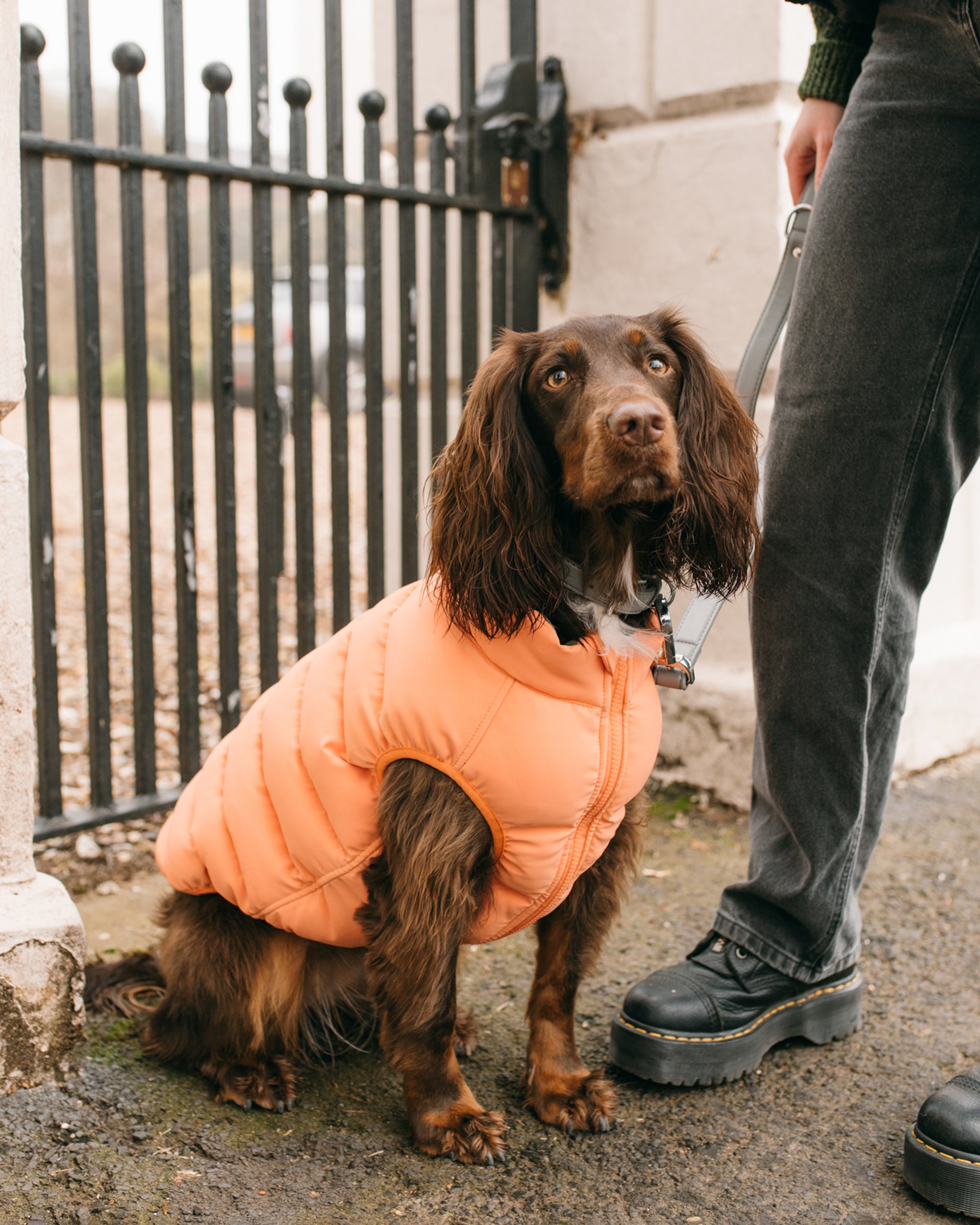 Reversible Dog Puffer Jacket: Coral & Khaki Green