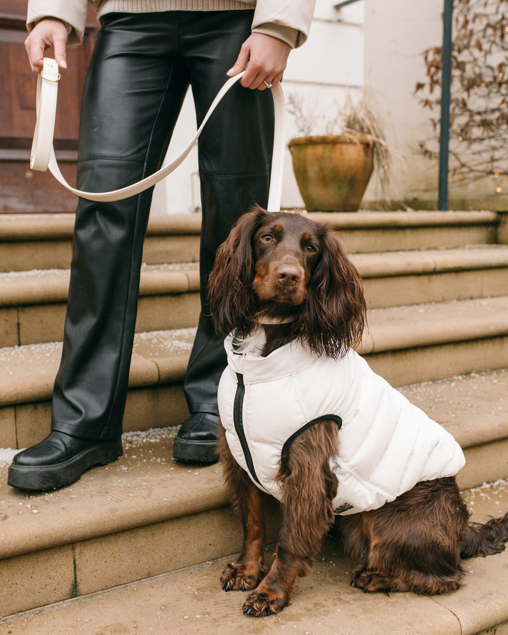 Reversible Dog Puffer Jacket: Black & Off White