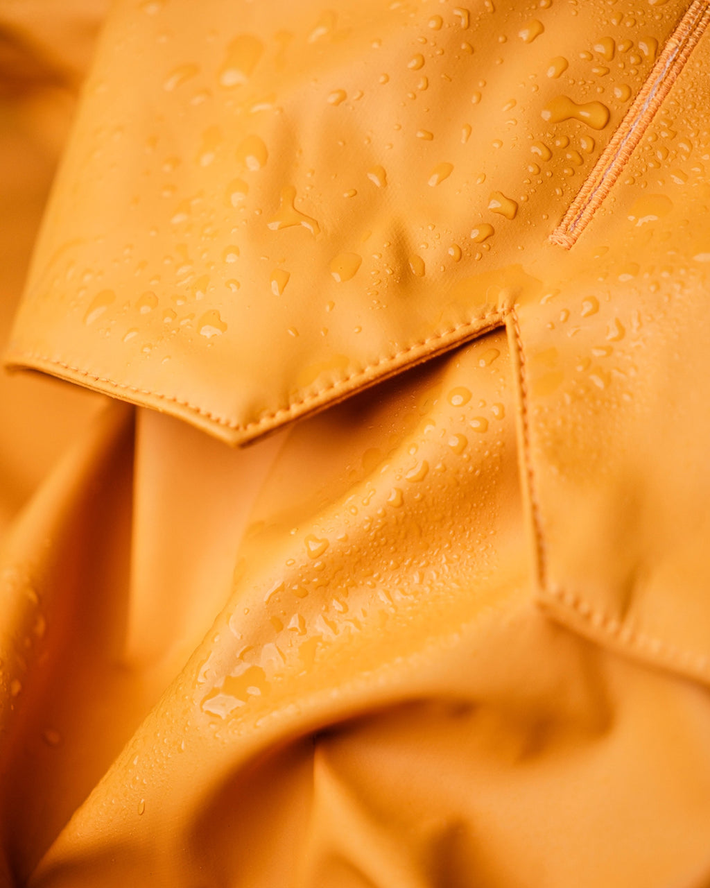 Orange Dog Raincoat