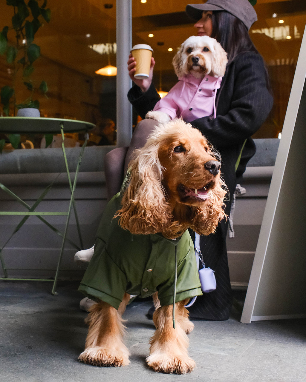 Green Dog Raincoat