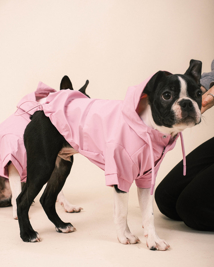 Pink Dog Raincoat