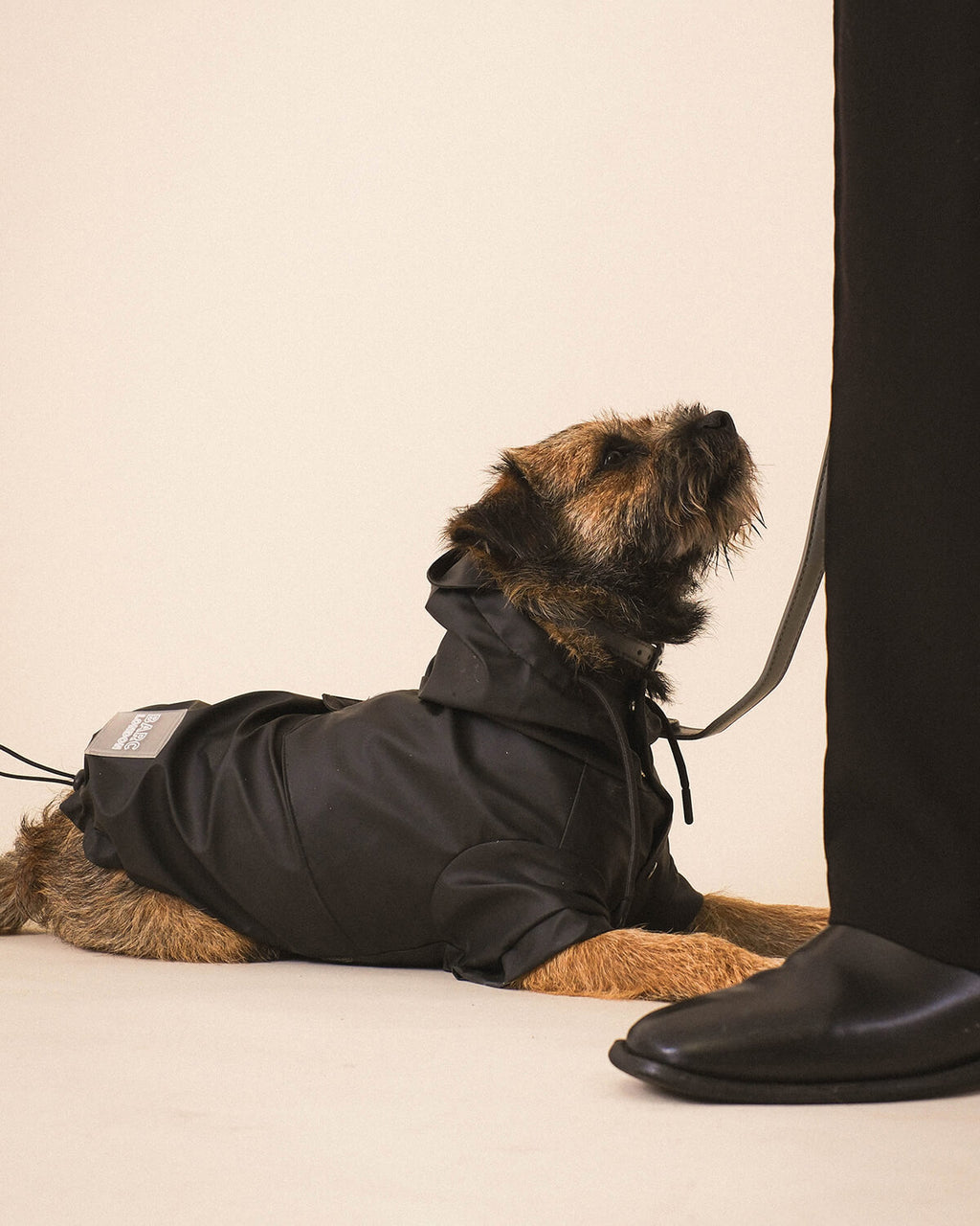 Black Dog Raincoat