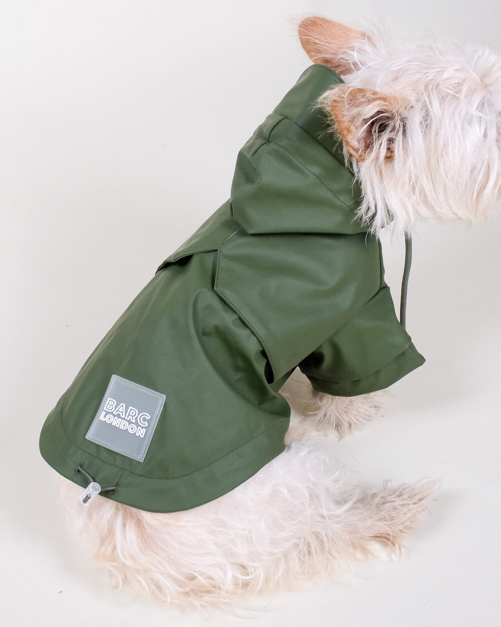 Green Dog Raincoat